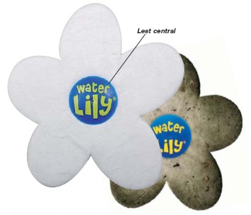 Water Lily (bote de 6)